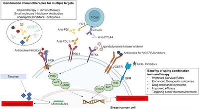 Impact of combinatorial immunotherapies in breast cancer: a systematic review and meta-analysis